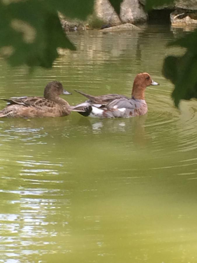 La Mare Aux Canards Cordieux 외부 사진